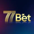 77bet
